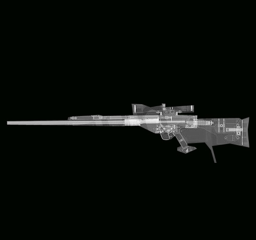 hunting rifle gun. Old hunting rifle for