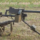 Cute Should Not Mean Defenseless