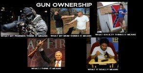 gun ownership