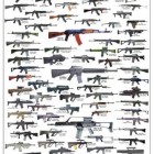 Assault Rifles & Carbines Poster