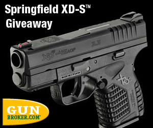 SpringfieldGiveaway-Opt1-300x250